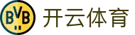Kaiyun Sports 中国区官方入口 - 开云全站电子 APP 安装与注册网址